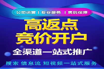 某电商平台的SEM优化案例分享